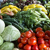 VEGETABLE