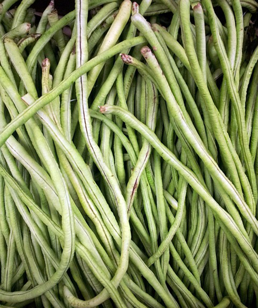 Beans