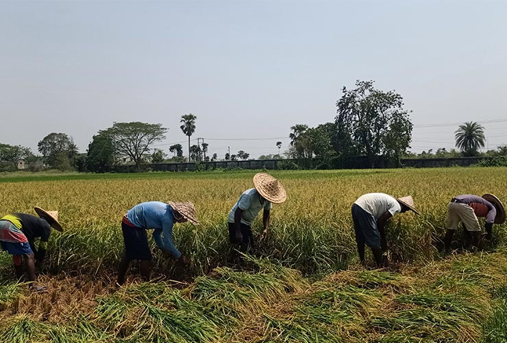 kalayni-gaushala-2