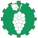Grapes Icon