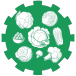 Cole Crops Icon