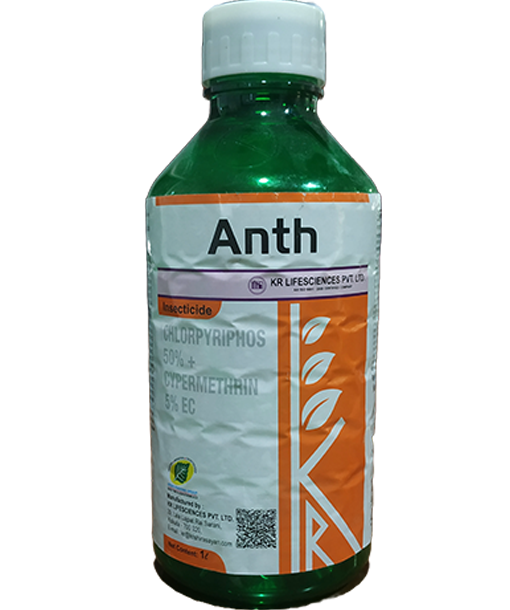 anth-505