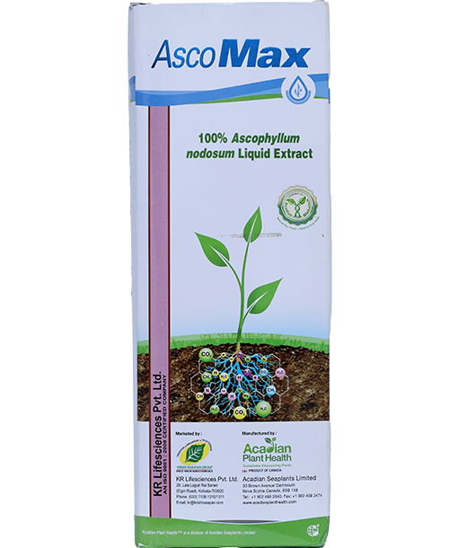 ascomax