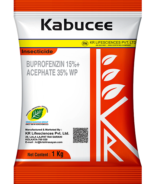 kabucee