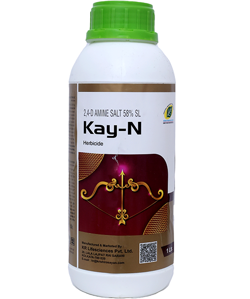 kay-n