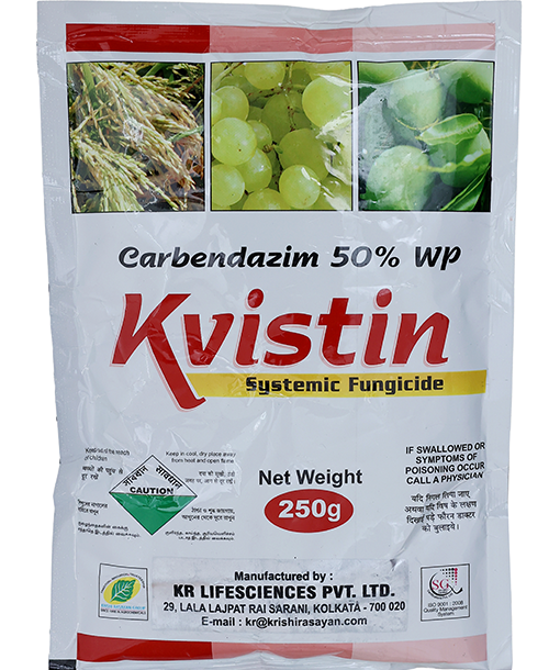 kvistin