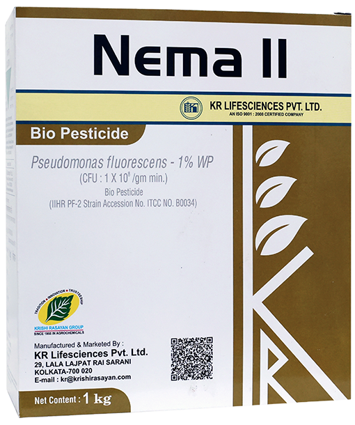 nema-ii