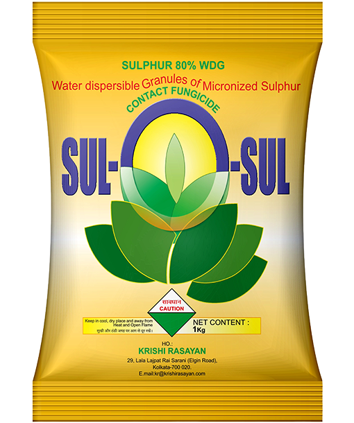 sul-o-sul