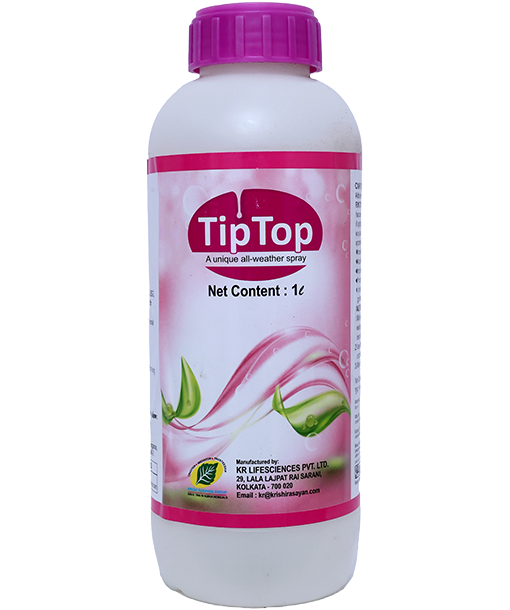 tiptop